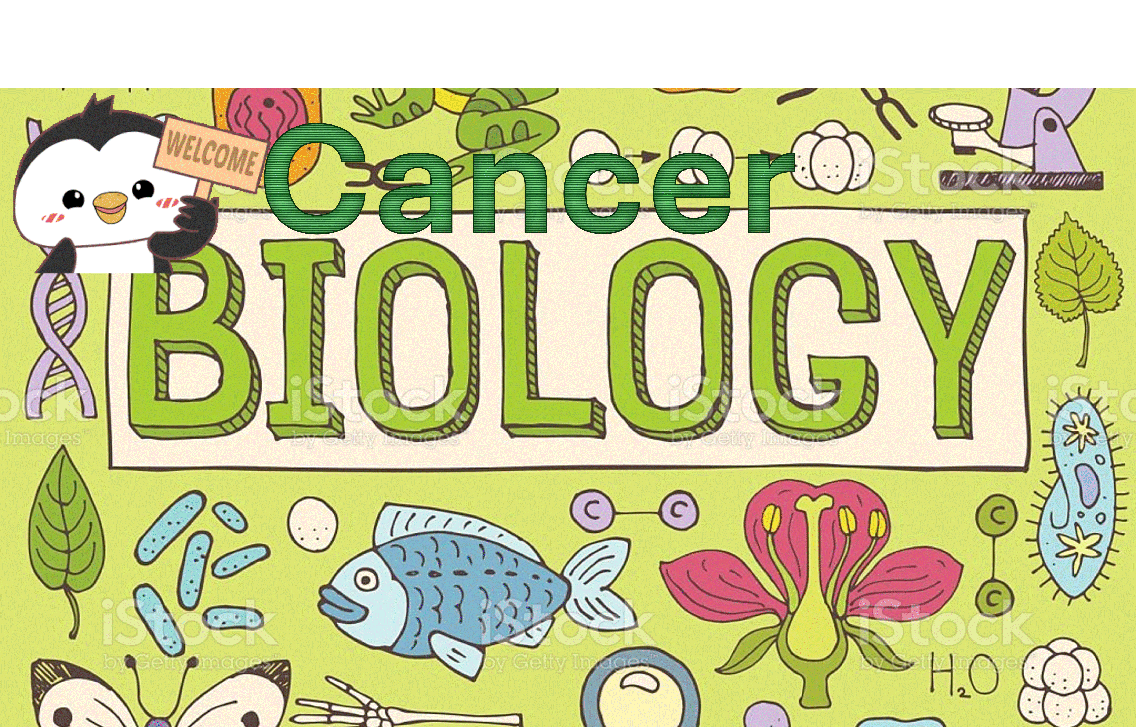 Cancer